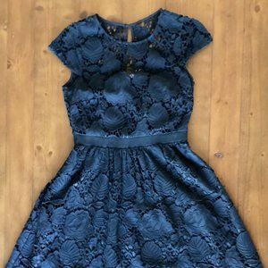 J Crew Collection Lace Dress